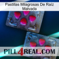 Pastillas Milagrosas De Raíz Malvada 14